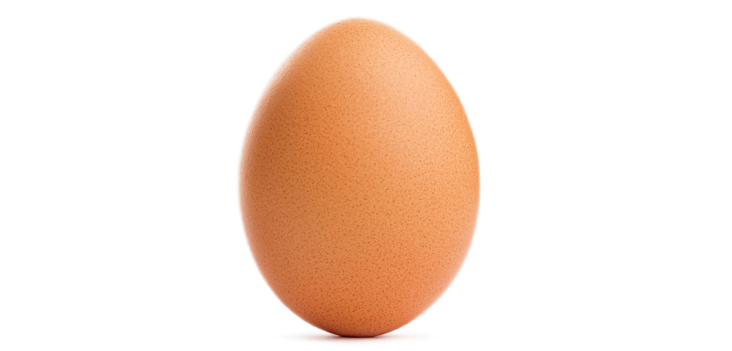 egg